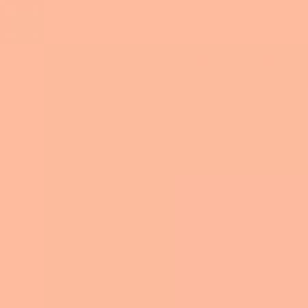 Deborah Milano Formula Pura bio zmatňujúci púder, 03 Apricot, 10ml