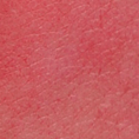 JöVő tint na pery a tváre 2v1, 03 Wild Strawberry, 6ml