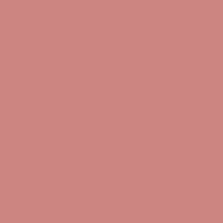 Topface zapečená tvářenka, PROHD Natural Glow Baked Blush, 005, Soft Peach, 4g