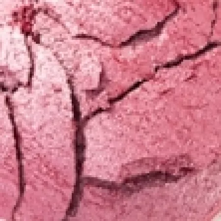 Lícenka terracotta, 40 Shimmer Pink